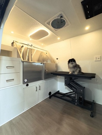 New York, Pet Sitting, Local Dog Grooming Options For Clean And Happy Pets