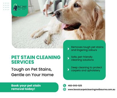 Melbourne, Cleaning, Same-Day Pet Stain Removal Melbourne