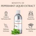 INR 199,  Peppermint Liquid Extract For Cosmetic & Beauty Products | Raasa Oils