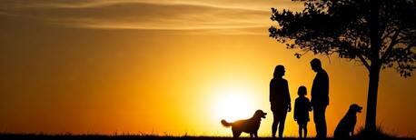 Mumbai, Pet Supplies, Digital Pet Parenting | Personalized Pet Care App  - PetsNmore