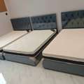 SAR 11,  Medium Size Beds Avalible