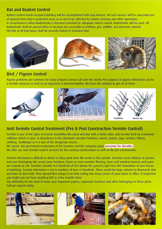 Jeddah, Pest Control, ALBUSTAN MAINTAINS& CLEANING SERVICE
