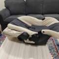 SAR 120,  BABY CAR SEAT