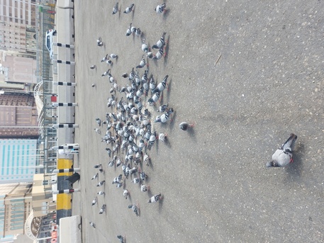 Jubail, Rooms Available, SAR 900/month,  Room Rent Without Kitchen