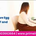 9 Tips To Improve Egg Quality For IVF & Pregnancy