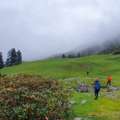 Phulara Ridge Trek With Himalayan Dream Treks - A Perfect Himalayan Ridge Walk