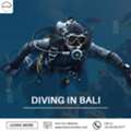 Diving In Bali