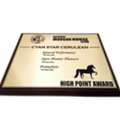 CAN 500,  Horse Show Awards, Prizes & Custom Horse Show Trophies | Ride Every Stride