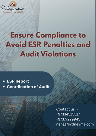 Paris, Business, Avoid ESR Penalties And Audit Violations