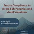 Avoid ESR Penalties And Audit Violations