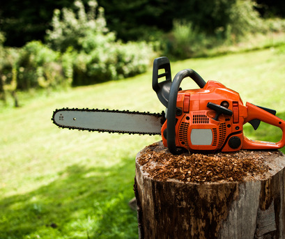 Sydney, Business, Tree Services Sydney