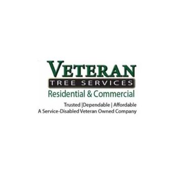 New York, Creative, Veteran Tree Services: Your Best Choice For Tree Removal In PG County, MD