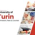 Apply To University Of Turin Now