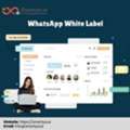 Grow Your Agency With Whatsapp White Label Programs