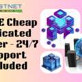 Fast & Cheap Dedicated Server - 24/7 Support Included