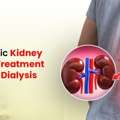 Ayurvedic Kidney Care Without Dialysis