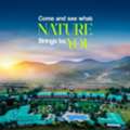 Best Resorts In Jim Corbett For Nature Lovers