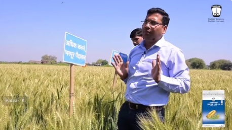 Mumbai, Farm/Garden, Shriram Super 1-SR-14 Wheat Seeds &ndash; High Yield & Premium Rabi Crop