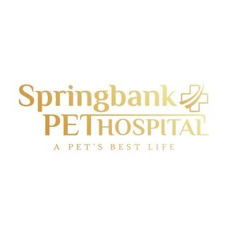 Calgary, Pet Sitting, Emergency Vet Care In Calgary - Springbank Pet Hospital