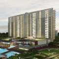 Godrej Sector 49 - Residential Property
