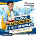Global Assignment Help Services For A-Grade Success | Punjab Assignment Help