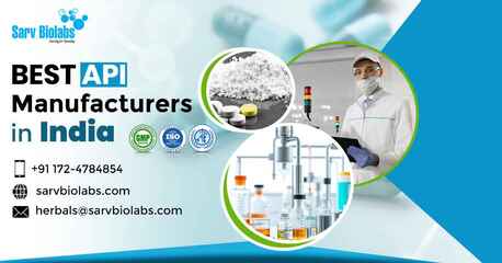 Mumbai, Health & Beauty Items, How To Choose The Best API Manufacturing Pharma Companies In India?