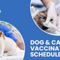Dog Vaccination Schedule  | CGS Hospital