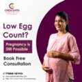 Low Egg Count? | Best Fertility Clinic Odisha | Crescenta Fertility