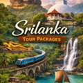 A Complete And Organized Travel Experience In Sri Lanka