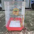 SAR 39,  Small Bird Cage For Sale
