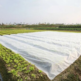Ahmedabad, Business, Durable Agriculture Crop Cover Solutions For Growers