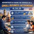 Small Business Accountant