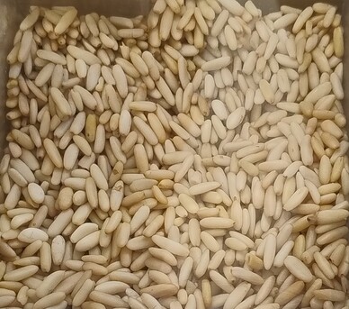 Riyadh, Household Items, SAR 150,  Pine Seeds Pakistan