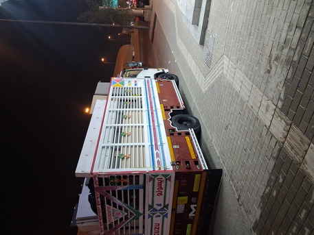 Riyadh, Labor/Moving, PROFESSIONAL(PAKISTANi) MOVERS PACKERS PEST CONTORL SOLUTION BEST PIRCE