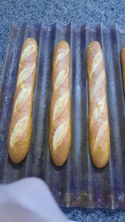 Al Thuqbah, Job Seekers, Bakery Chef