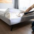 How Can Bed Bug Expert Help With Bed Bug Pest Control In Northampton?
