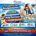 Global Assignment Help Services For A-Grade Success | Trusted Academic Support