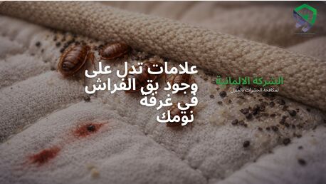 Riyadh, Pest Control, خدمات مكافحة بق الفراش | ابادة البق نهائياً &