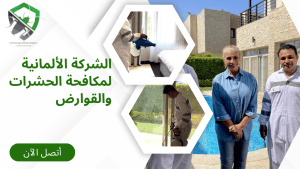 Riyadh, Pest Control, خدمات مكافحة بق الفراش | ابادة البق نهائياً &