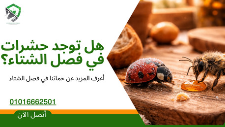 Riyadh, Pest Control, خدمات مكافحة بق الفراش | ابادة البق نهائياً &