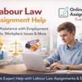 Professional Guidance For Labour Law Assignments
