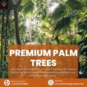 Anguilla, Farm/Garden, Shop Premium Palm Trees In Grenada