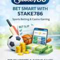 Modern Stake Platform For Sports And Casino Access &ndash; Stake786
