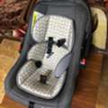 SAR 250,  Evenflo Baby Car Seat