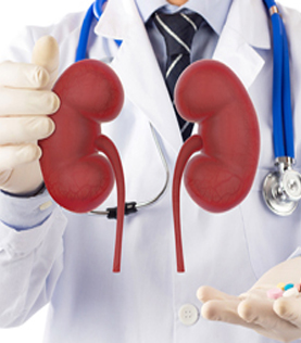 Bangalore, Medical, Kidney Stones Surgery In Bangalore