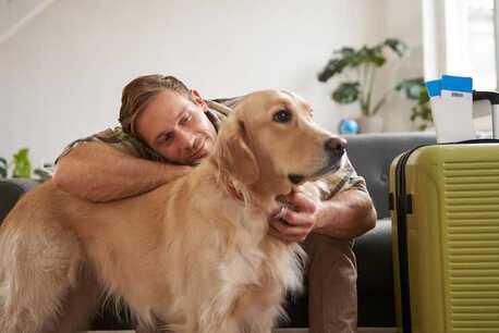 Pune, Pet Sitting, Dog Hostel In Pune