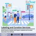 Build Smarter Models With Expert-Labeled And Curated Data Sets From EnFuse