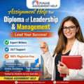 Top Assignment Help For Diploma Of Leadership & Management | Punjab Assignment Help