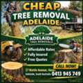 Affordable & Professional Cheap Tree Removal Adelaide Services By Adelaide Tree Removals