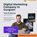 Affordable Digital Marketing Company In Gurgaon - Tech Prosense